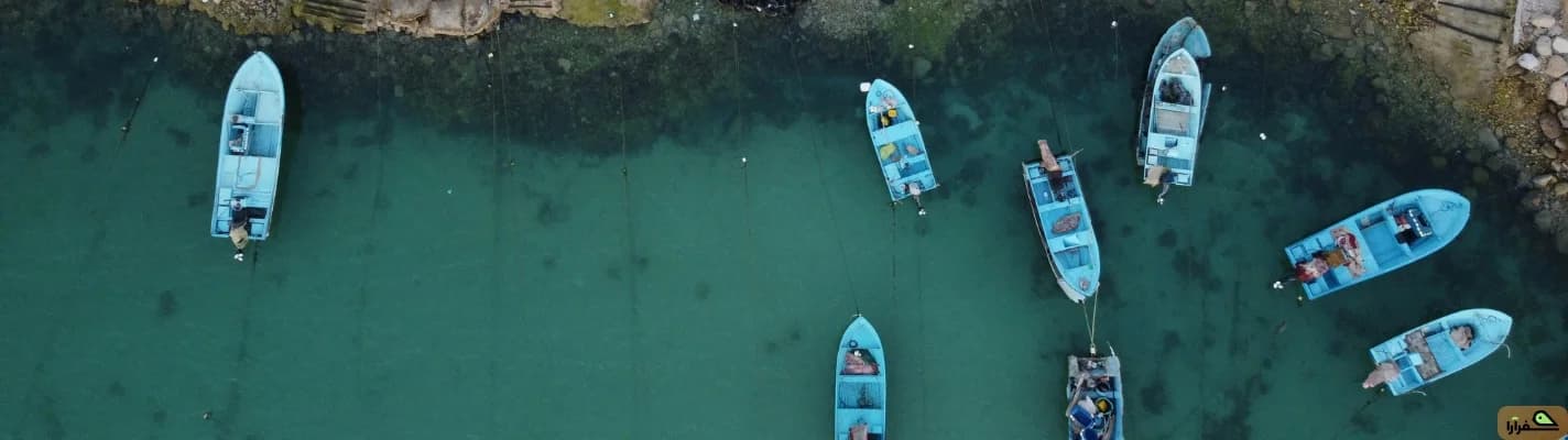 بوشهر را کشف کنید | راهنمای سفر، غذاهای محلی و جاهای دیدنی جنوب ایران
